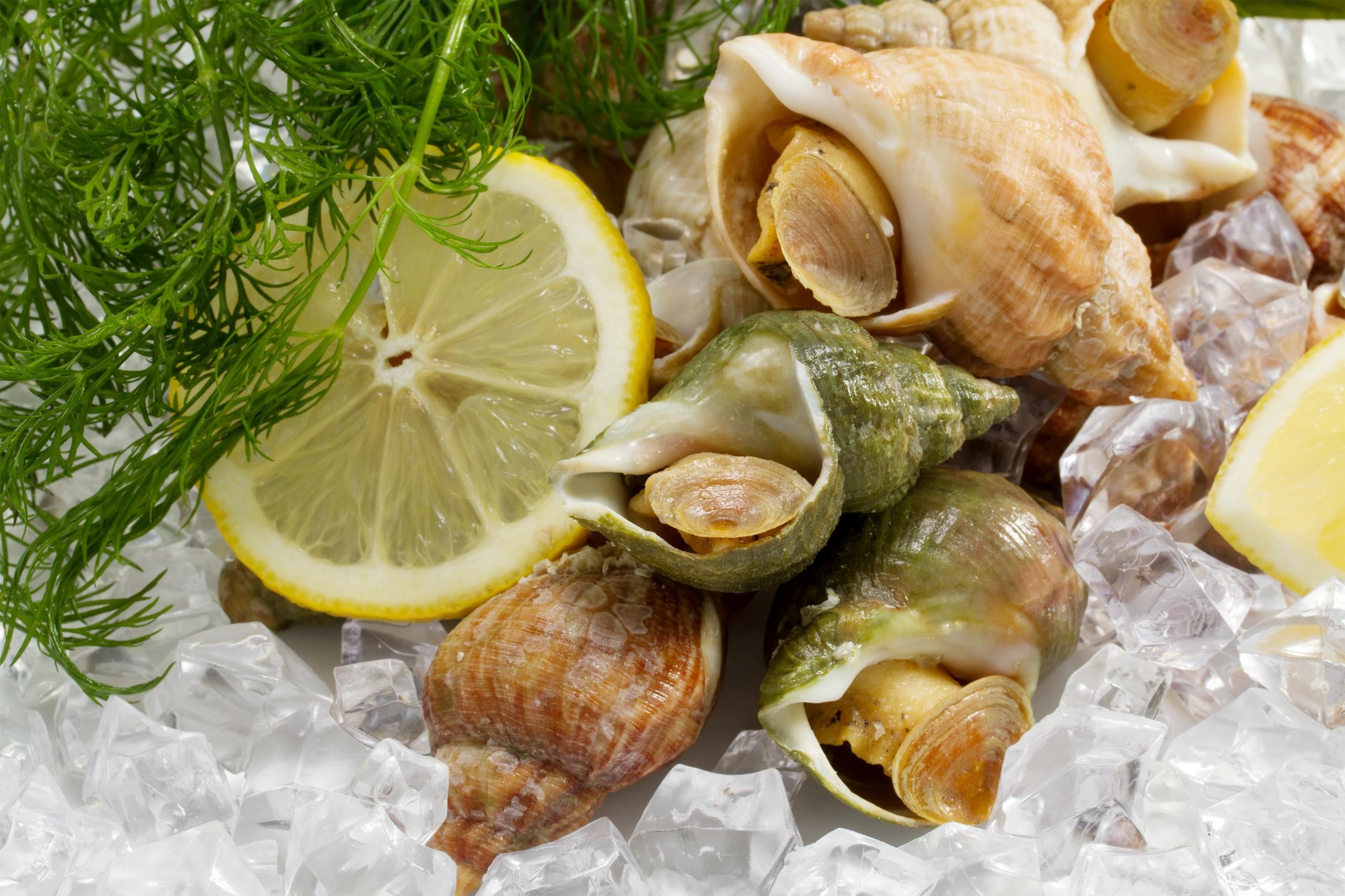 Fish Face Whelks Guide Whelk Recipes