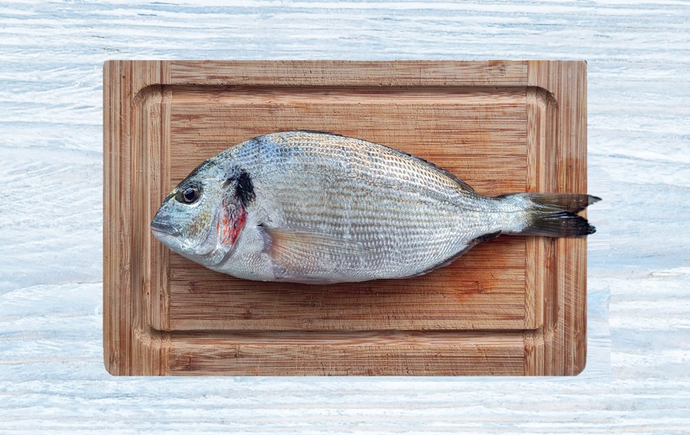 fish-face-blog-this-is-why-i-buy-fresh-fish-near-me