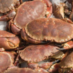 Image of Brown Crab.