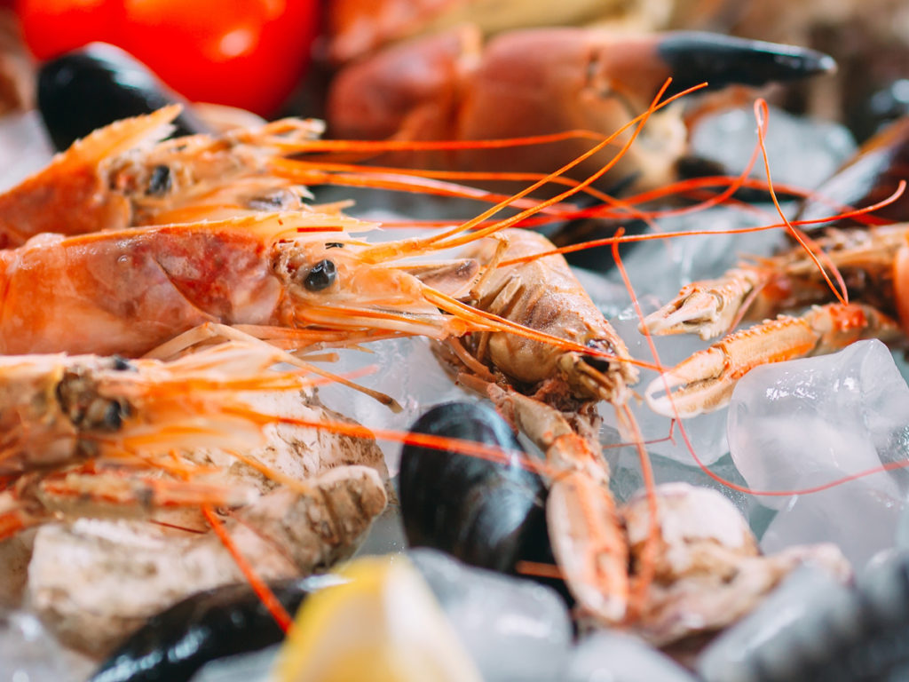 Beginners Guide to Seafood: Storing Seafood