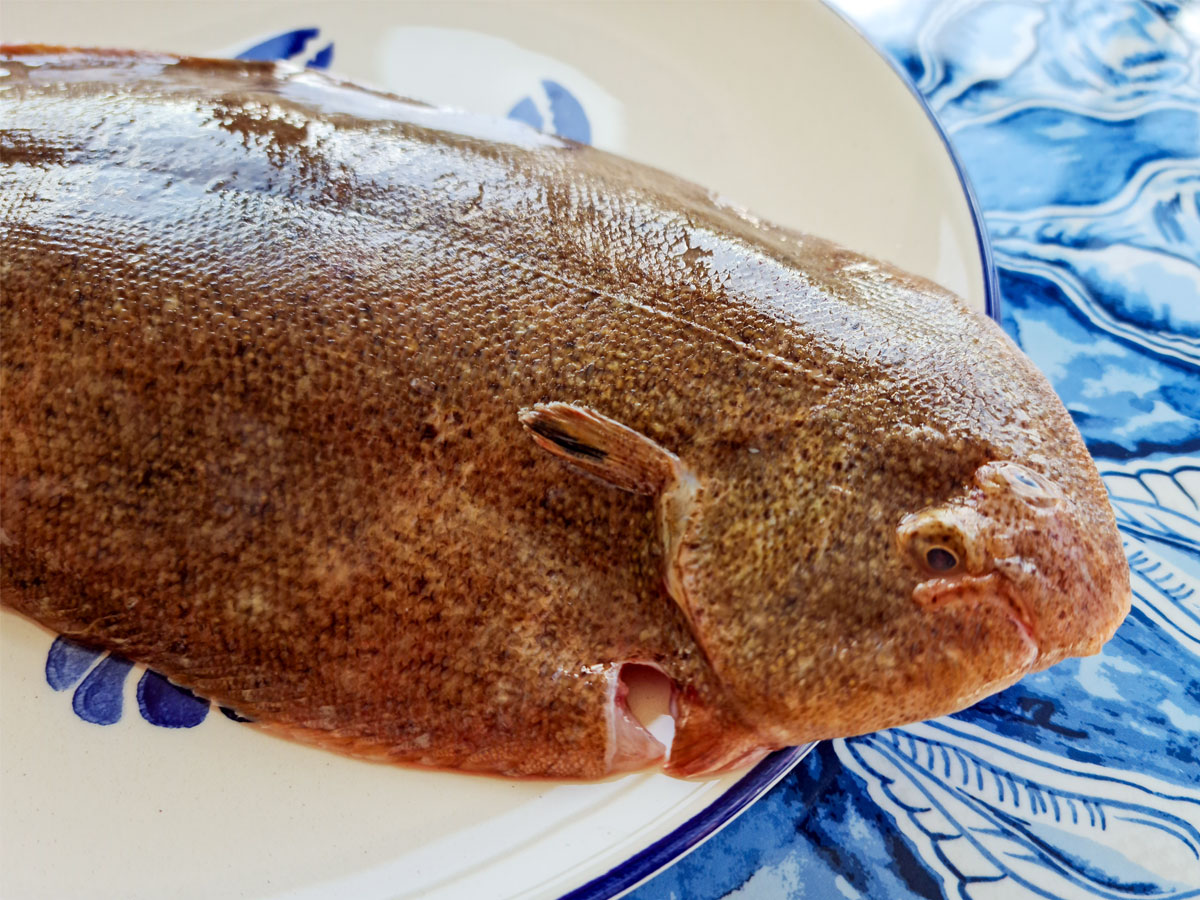 Our new favourite fish: Sand sole