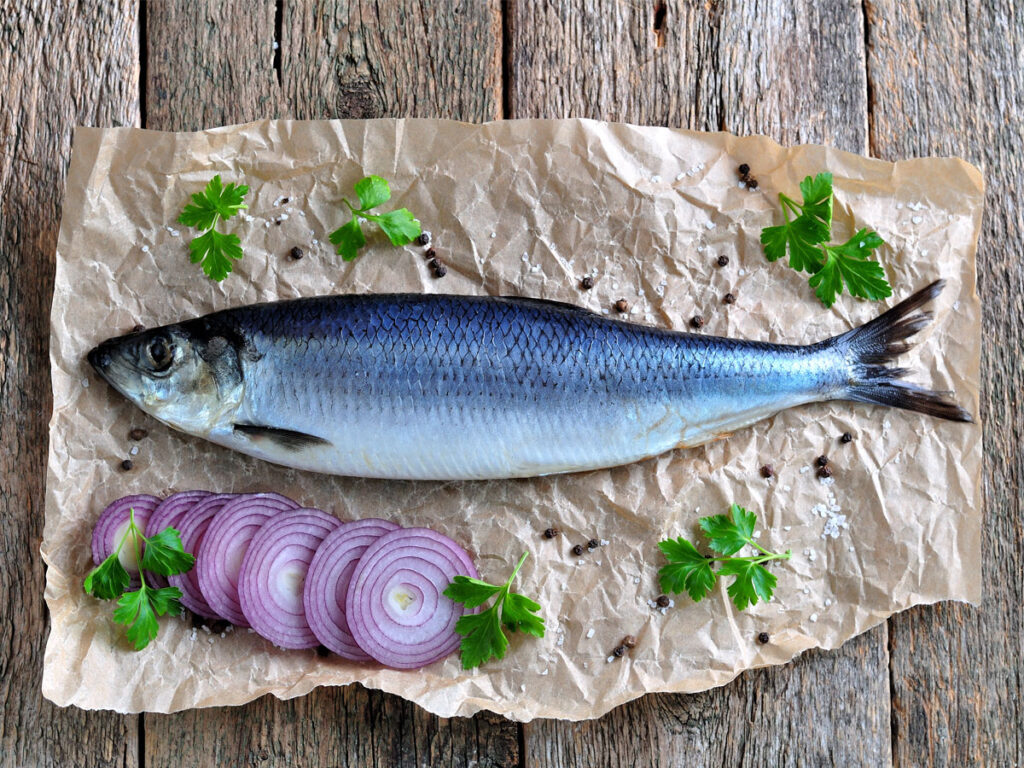 A herring on a piece of parchment paper