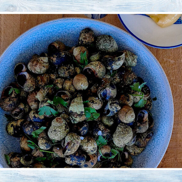 Periwinkles in a bowl.