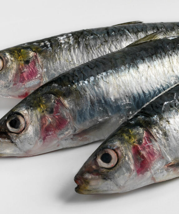 Cornish sardines