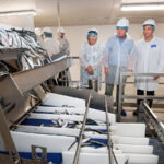 People at a sardine factory.