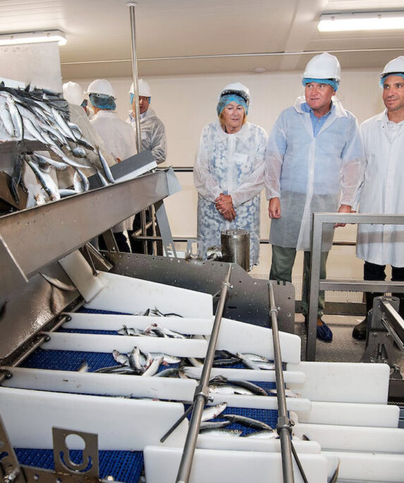 People at a sardine factory.