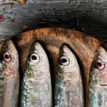 Sardines on a wooden board