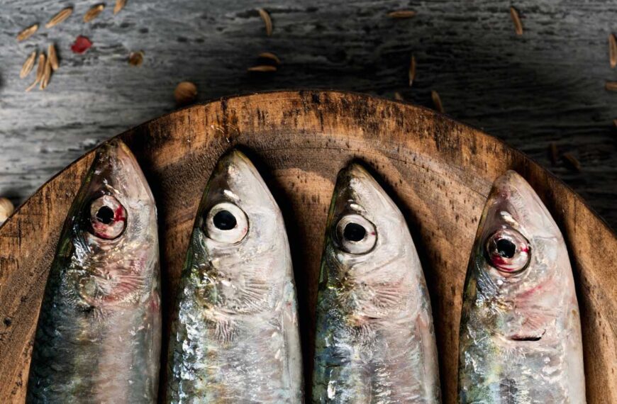 Sardines on a wooden board