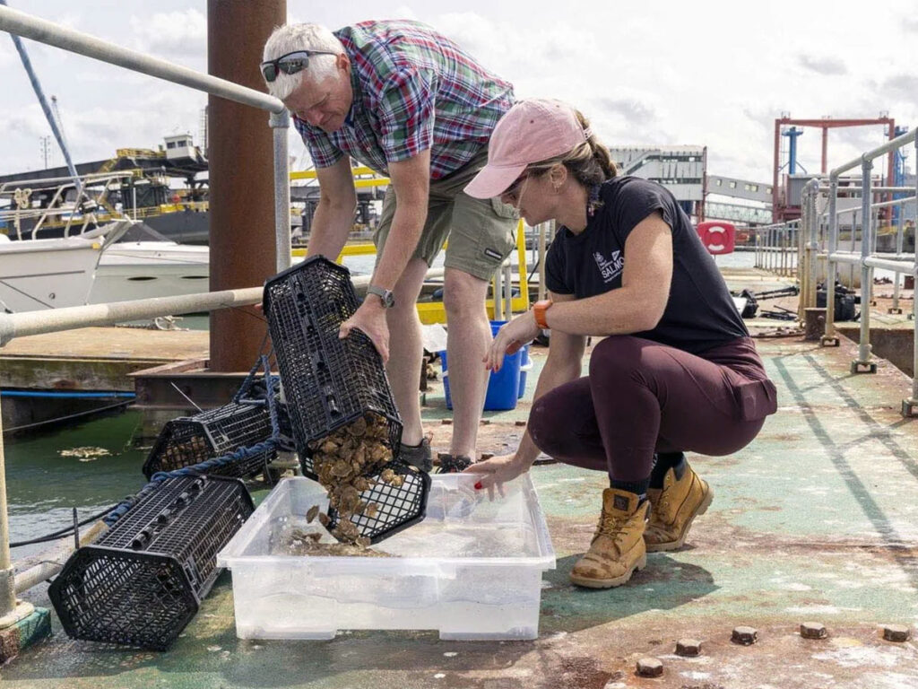 People with oyster cages