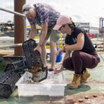 People with oyster cages