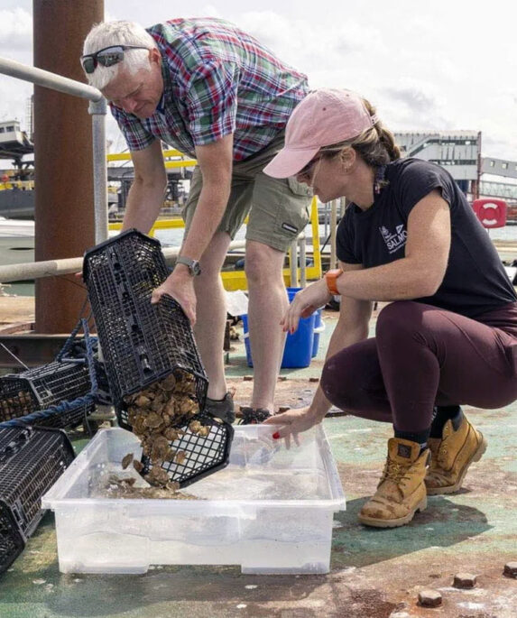 People with oyster cages