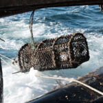 A pot being shot from a fishing vessel