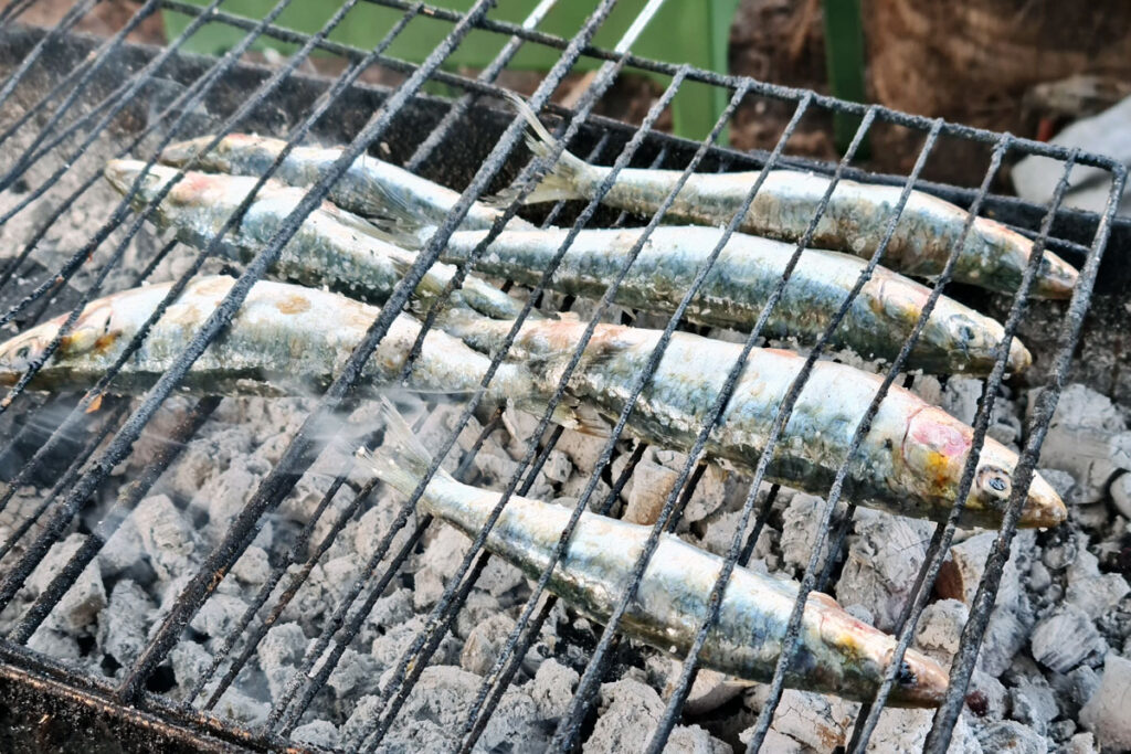 Grilled sardines