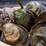 A bowl of native oysters