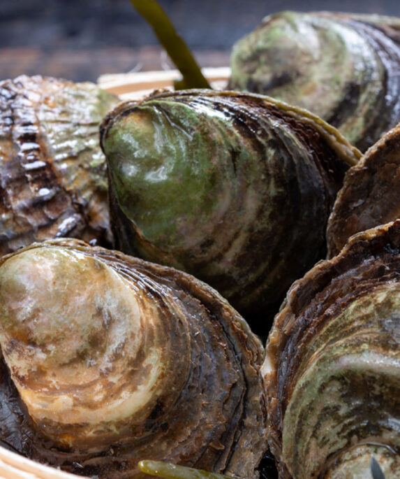 A bowl of native oysters