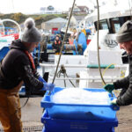 Two fishermen landing a fish box from a Scottish trawler