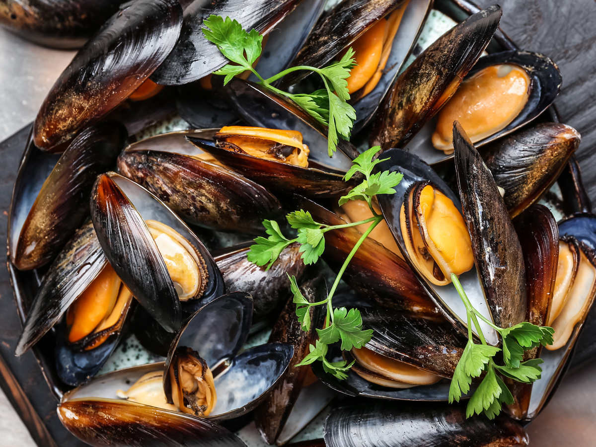 November in season spotlight: mussels