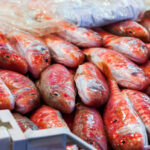 Red mullet fish at market