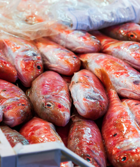 Red mullet fish at market