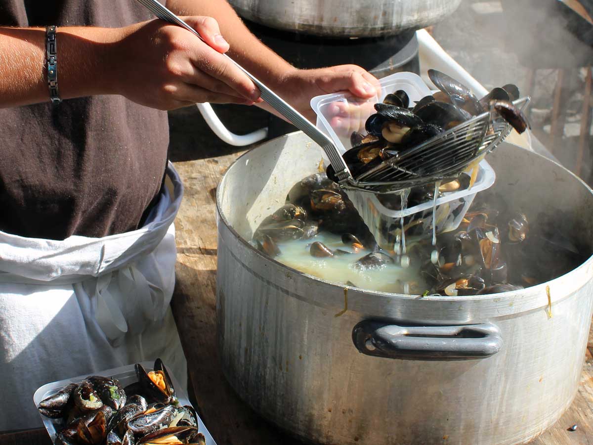 Mussels in a pot