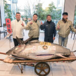 Bluefin tuna on a trolley