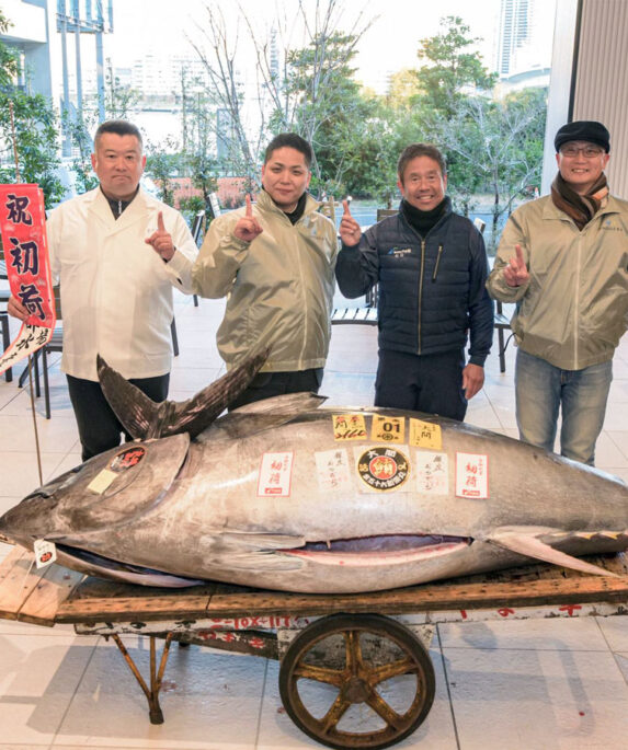 Bluefin tuna on a trolley