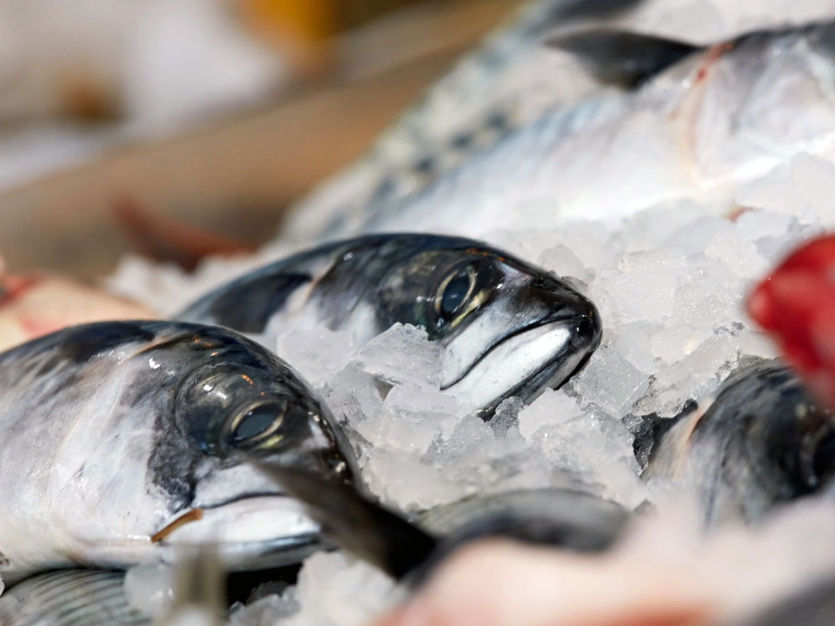 Researchers: Eat more UK fish!