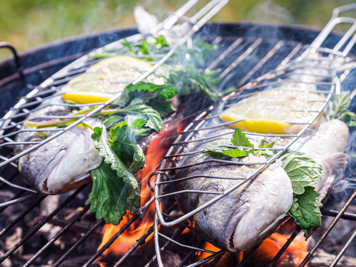 Gilthead bream on a barbecue. UK seafood BBQ.